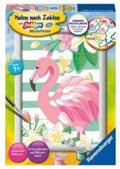 Maalid numbrite järgi raami "Flamingo" 18 x 13, Li R 28512 цена и информация | Живопись по номерам | kaup24.ee