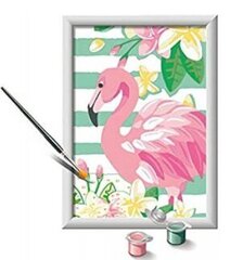 Maalid numbrite järgi raami "Flamingo" 18 x 13, Li R 28512 цена и информация | Живопись по номерам | kaup24.ee