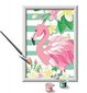 Maalid numbrite järgi raami "Flamingo" 18 x 13, Li R 28512 hind ja info | Maalid numbri järgi | kaup24.ee