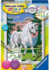 Maalid numbrite järgi raami "Unicorn" 18 x 13, Li R 27782 цена и информация | Живопись по номерам | kaup24.ee