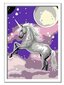 Maalid numbrite järgi raami,shining "Unicorn" 18 x 13, Li R 27846 hind ja info | Maalid numbri järgi | kaup24.ee