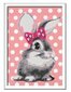 Maalid numbrite järgi raami, laste värvimismaal Paint by Numbers "Bunny with a bow"13 x 18 Li R 28470 hind ja info | Maalid numbri järgi | kaup24.ee