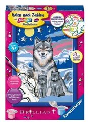 Maalid numbrite järgi raami, Brilliant "The Wolf Family" 13 x 18 Li R 27784 цена и информация | Живопись по номерам | kaup24.ee