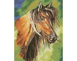 Ristpistes tikkimiskomplekt "Mustang", 23 x 28, RTO hind ja info | Tikkimistarvikud | kaup24.ee