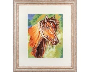 Ristpistes tikkimiskomplekt "Mustang", 23 x 28, RTO hind ja info | Tikkimistarvikud | kaup24.ee