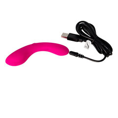 Vibraator Swan Wand hind ja info | Vibraatorid | kaup24.ee