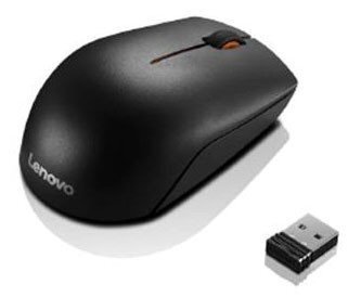 LENOVO KB MICE BO 300 WIRELESS MOUSE WW hind ja info | Hiired | kaup24.ee