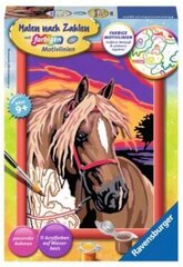 Maalid numbrite järgi raami "The horse" 18 x 13, Li R 28028 цена и информация | Живопись по номерам | kaup24.ee