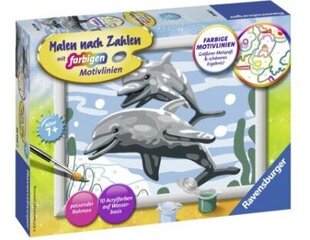 Maalid numbrite järgi raami "Dolphins" 18 x 13, Li R 28468 hind ja info | Maalid numbri järgi | kaup24.ee