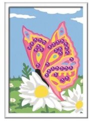Maalid numbrite järgi raami "Butterfly on a flower" 13 x 18 Li R 28474 hind ja info | Maalid numbri järgi | kaup24.ee