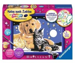 Maalid numbrite järgi raami, Brilliant "Dog with a kitten" 13 x 18 Li R 28016 hind ja info | Maalid numbri järgi | kaup24.ee