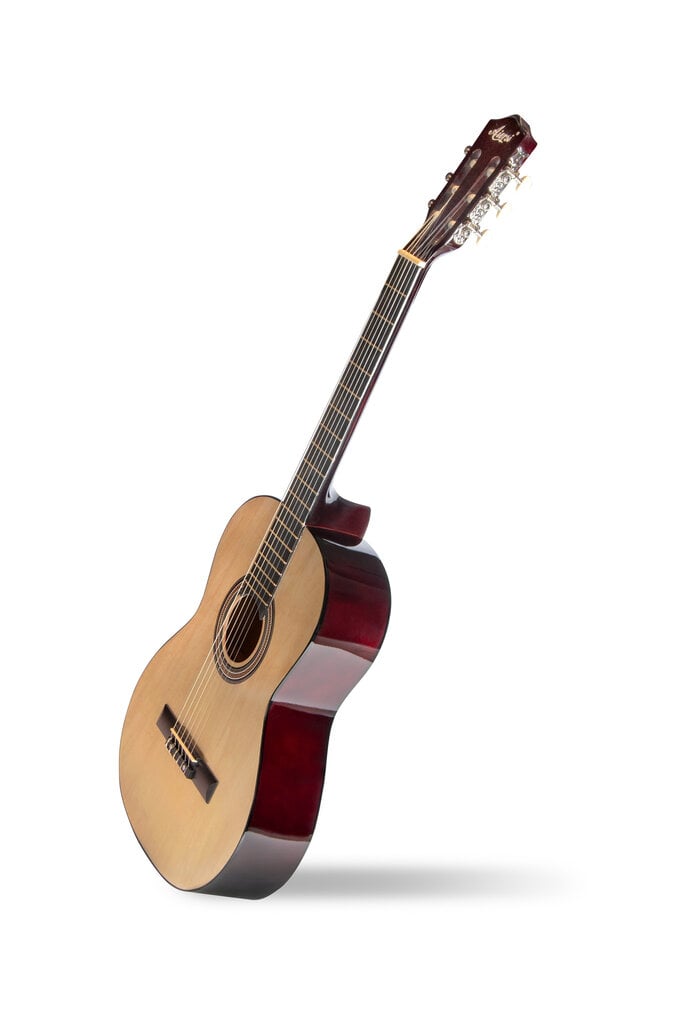 Klassikalise kitarri komplekt Aiersi SC040 A 39" hind ja info | Kitarrid | kaup24.ee