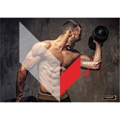 Namedsport Anabolic Mass Pro 1.6 кг цена и информация | namedsport Защитные, дезинфицирующие средства, медицинские товары | kaup24.ee