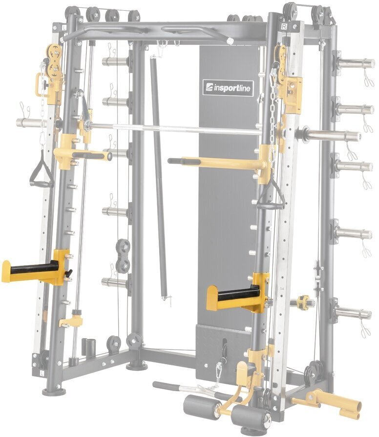 Kangitoru Power Rack inSportline CC400 цена и информация | Treeningkeskused | kaup24.ee