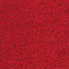 Narma narmasvaip Aruba, punane, 200 x 300 cm hind ja info | Vaibad | kaup24.ee