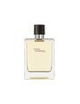 Tualettvesi Hermes Terre d'Hermes EDT meestele, 100 ml