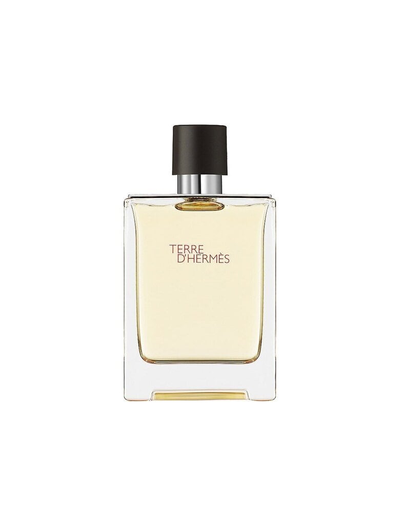 Tualettvesi Hermes Terre d'Hermes EDT meestele, 100 ml цена и информация | Meeste parfüümid | kaup24.ee