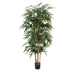 Bambus (175 cm) цена и информация | Искусственные цветы | kaup24.ee