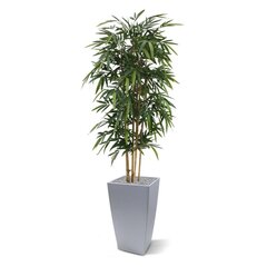 Bambus (175 cm) цена и информация | Искусственные цветы | kaup24.ee