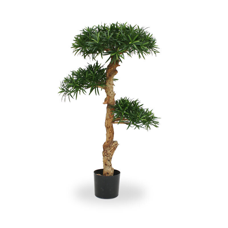 Suureleheline kivijugapuu bonsai (120 cm) цена и информация | Kunstlilled | kaup24.ee