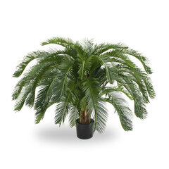 Palmlehik (100 cm) hind ja info | Kunstlilled | kaup24.ee