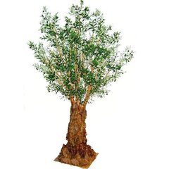 Oliivipuu (290 cm) цена и информация | Искусственные цветы | kaup24.ee