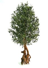 Oliivipuu bonsai (150 cm) hind ja info | Kunstlilled | kaup24.ee