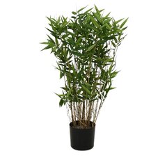 Bambus (70 cm) цена и информация | Искусственные цветы | kaup24.ee