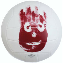 Волейбольный мяч Wilson (Пересмотрено B) цена и информация | Волейбольные сетки | kaup24.ee