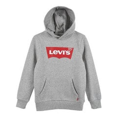 Толстовка детская Levi's Batwing Screenprint, светло-серая цена и информация | Свитеры, жилетки, пиджаки для мальчиков | kaup24.ee