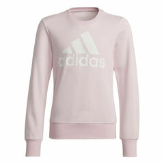 Laste Dressipluus Adidas Essentials Lavendel цена и информация | Свитеры, жилетки, пиджаки для девочек | kaup24.ee