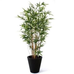 Bambus (170 cm) цена и информация | Искусственные цветы | kaup24.ee