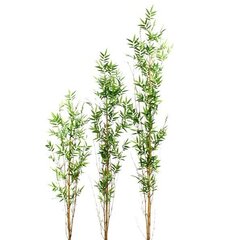 Bambus (155 cm) цена и информация | Искусственные цветы | kaup24.ee