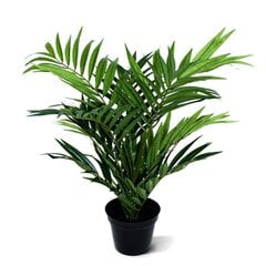 Mägipalm (50 cm) hind ja info | Kunstlilled | kaup24.ee