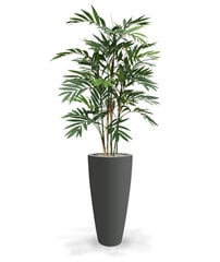 Vääris-mägipalm (150 cm) hind ja info | Kunstlilled | kaup24.ee