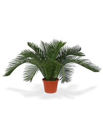 Palmlehik (30 cm) hind ja info | Kunstlilled | kaup24.ee