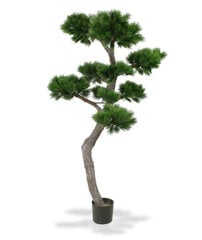 Piinia bonsai UV-kaitsega (210 cm) hind ja info | Kunstlilled | kaup24.ee