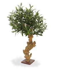 Oliivipuu bonsai (60 cm) hind ja info | Kunstlilled | kaup24.ee