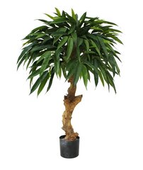 Longifolia Royal (90 cm) hind ja info | Kunstlilled | kaup24.ee