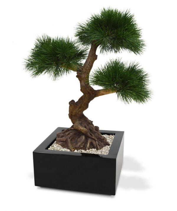 Piinia bonsai UV-kaitsega (60 cm) цена и информация | Kunstlilled | kaup24.ee