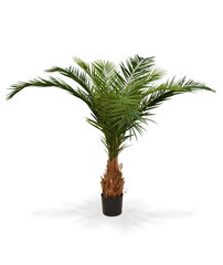 Kanaari datlipalm (210 cm) hind ja info | Kunstlilled | kaup24.ee