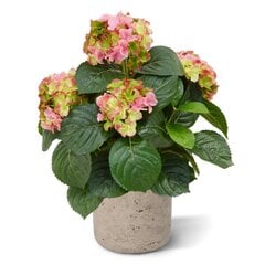 Hortensia (45 cm) hind ja info | Kunstlilled | kaup24.ee