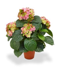 Hortensia (45 cm) hind ja info | Kunstlilled | kaup24.ee