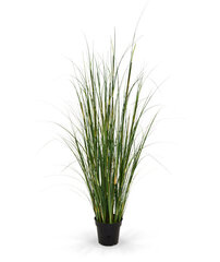 Bambus (125 cm) цена и информация | Искусственные цветы | kaup24.ee