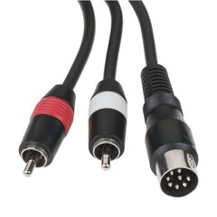 Автомобильный цифровой кабель Peiying PY-EM02 Panasonic цена и информация | Дополнительные принадлежности | kaup24.ee