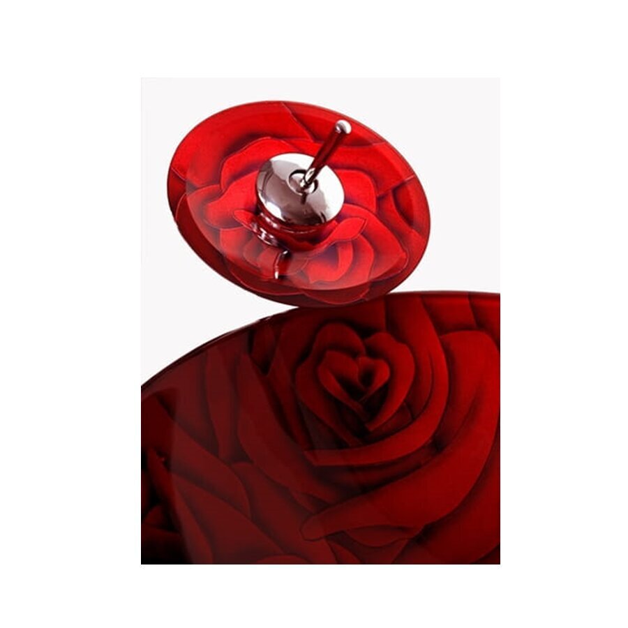 Komplekt: klaasist valamu segistiga Roses VELDMAN, punane цена и информация | Kraanikausid, valamud | kaup24.ee