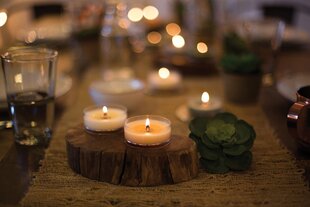 WoodWick ароматическая свеча Fig Leaf &amp; Tuberose 31 г цена и информация | Подсвечники, свечи | kaup24.ee