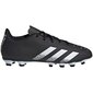 Jalgpallipuutsad Adidas Predator Freak.4 FxG M FY1040 hind ja info | Jalgpallijalatsid | kaup24.ee