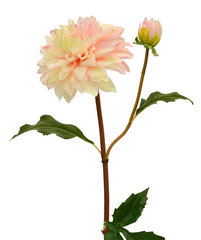 Daalia (50 cm) цена и информация | Искусственные цветы | kaup24.ee