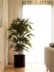 Bambus (140 cm) hind ja info | Kunstlilled | kaup24.ee